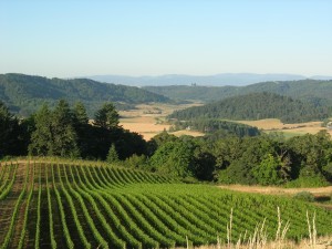 A weekend in Oregon with pinot noir