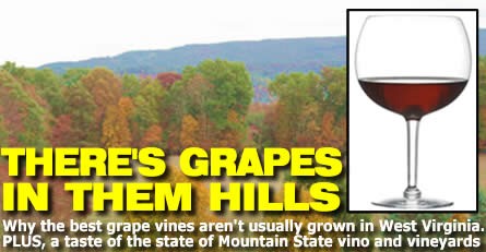 W.Va. Wines: There’s grapes in them there hills!